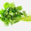 Fresh Gotukola (ගොටුකොල / வல்லாரை ) - 1/2 LB