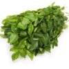 Fresh Curry Leaves