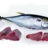 Fresh Sri Lankan Tuna Fish - Grade "A" - 2LB ($8.49/LB)